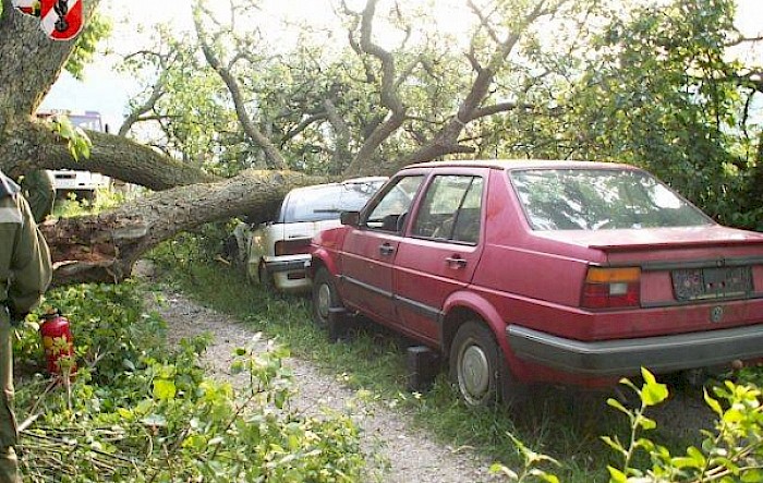 Schwerer Verkehrsunfall Dingelberg