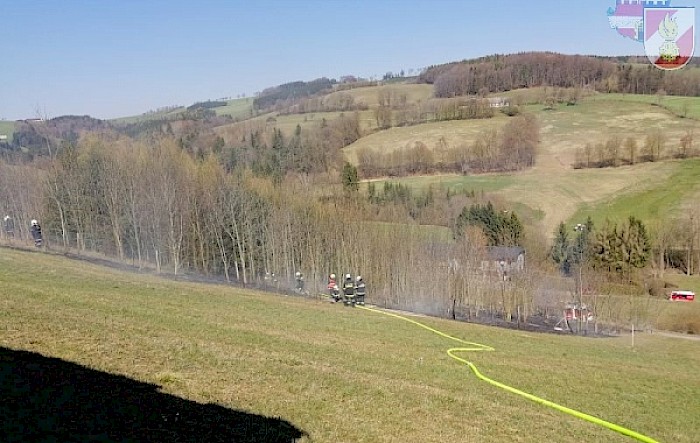 Waldbrand Kendlgraben