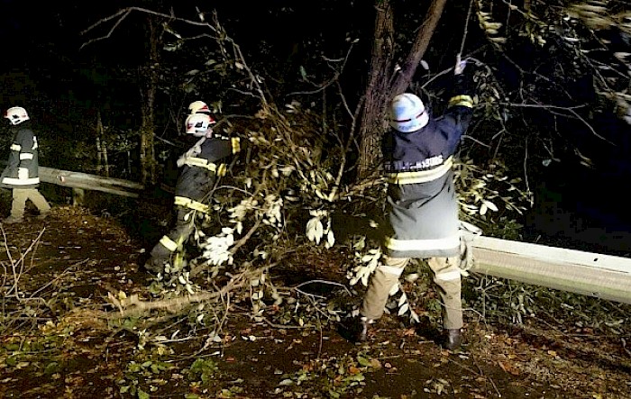 Einsatz: Sturmschaden Grubtal
