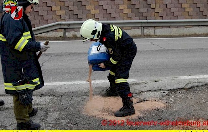 Einsatz: Austritt von Diesel, B20