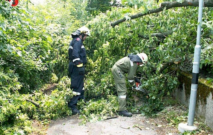 Sturmschäden im Gemeindegebiet