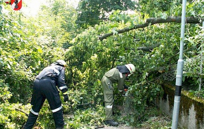 Sturmschaden Kreisbach