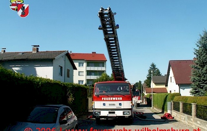 Katzenrettung in der Siedlerstraße