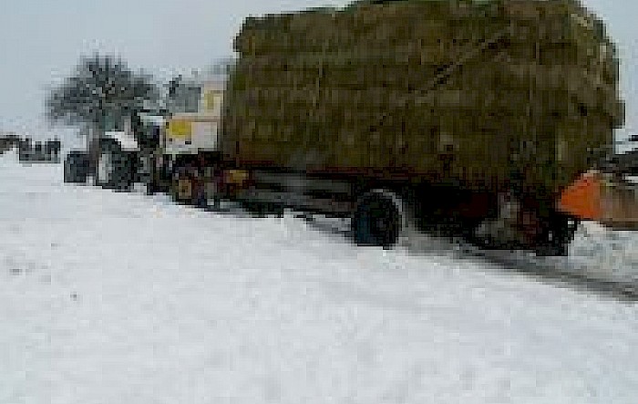 LKW - Bergung Zufahrt Long View Ranch