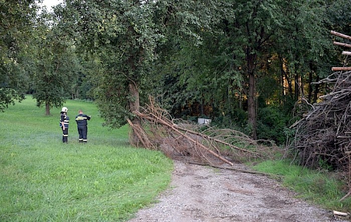 Mehrere Sturmschäden im Norden von Wilhelmsburg