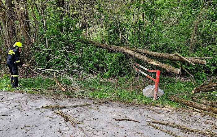 Baum über Straße B20