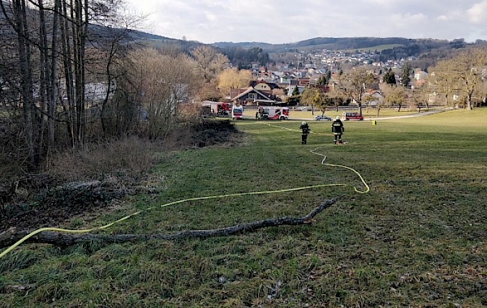 Waldbrand Wasenmühle