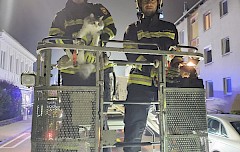 Tierrettung Penknergasse